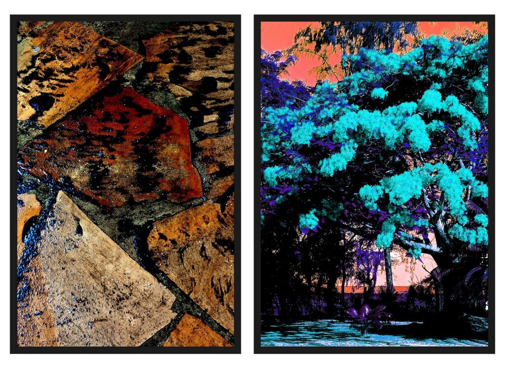 Two side by side digital photographs by artist Joyce Ware
